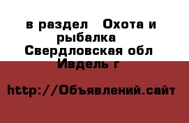  в раздел : Охота и рыбалка . Свердловская обл.,Ивдель г.